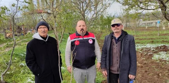 Meyve Ağaçlarında Don Felaketi: 7 Bin Dekar Alan Zarar Gördü