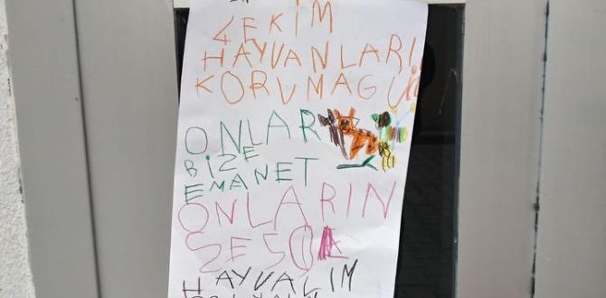 Minik Eller Resimlerle Can Dostları Hatırlattı
